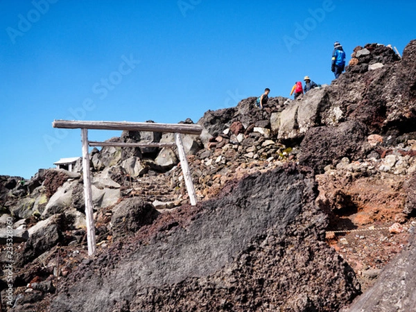 Fototapeta OLYMPUS DIGITAL CAMERA