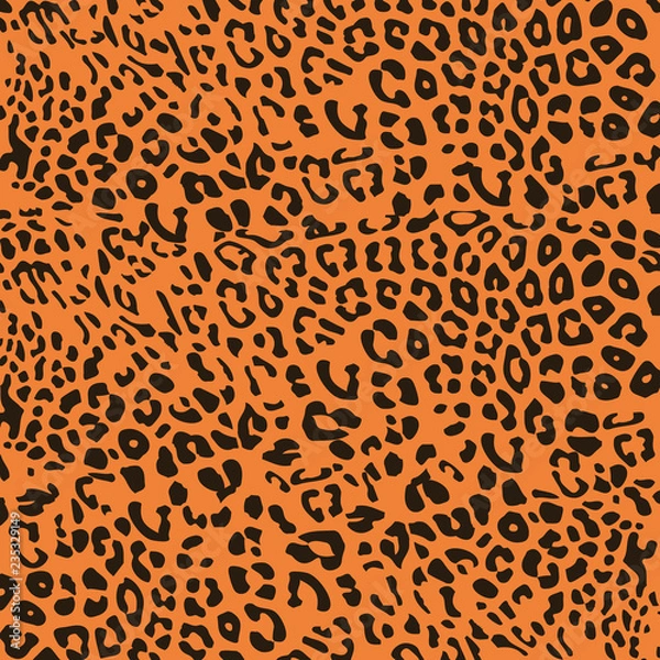 Fototapeta animal skin leopard pattern vector