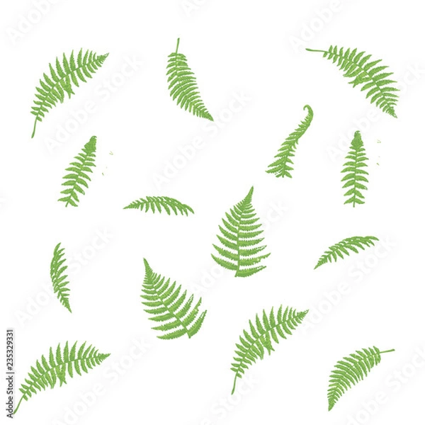 Fototapeta floral pattern illustration