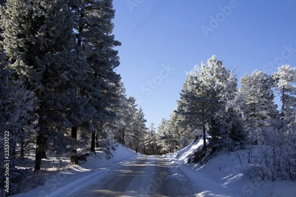 Obraz Rampart Range Road 11/2018