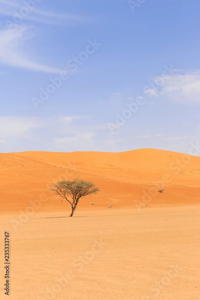 Obraz deserto oman