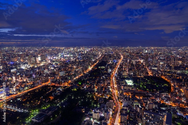 Fototapeta [大阪府]大阪の夜景