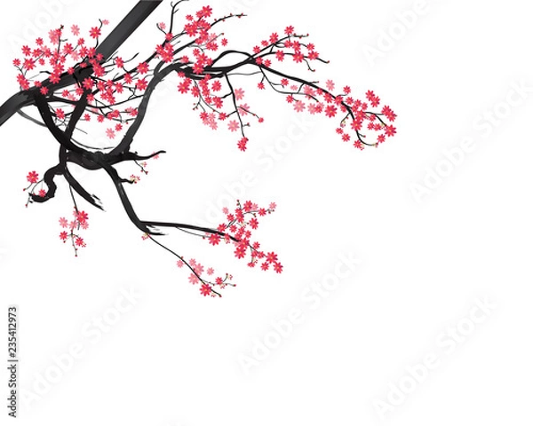 Fototapeta Watercolor sakura frame. Background with blossom cherry tree branches for new year 2019