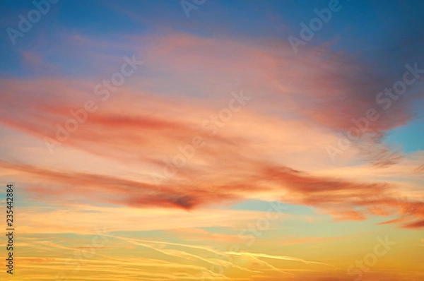 Obraz Multi-colored porous clouds at sunset with blue sky.