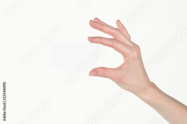 Fototapeta hand holding blank card isolated with clipping path
