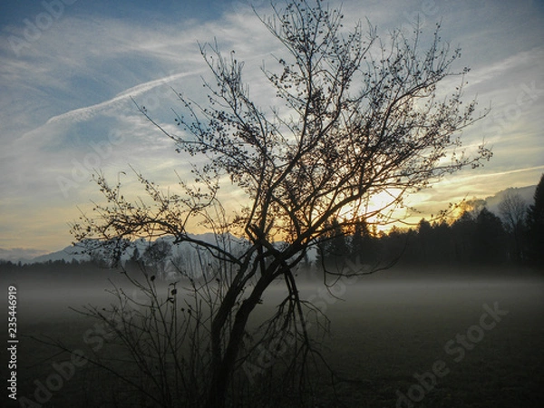 Obraz Bäume im Spätherbst