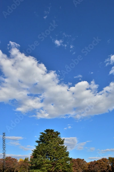 Fototapeta 秋の空