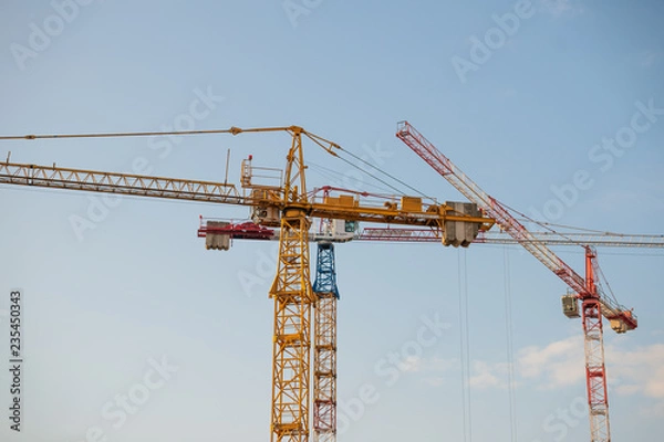 Obraz three cranes
