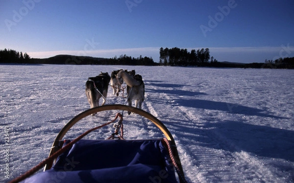 Fototapeta prowadzić
