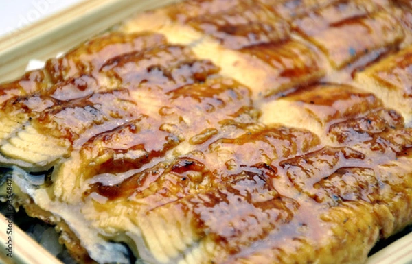 Fototapeta うなぎ