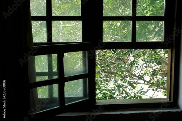 Obraz a view of the garden from the open window