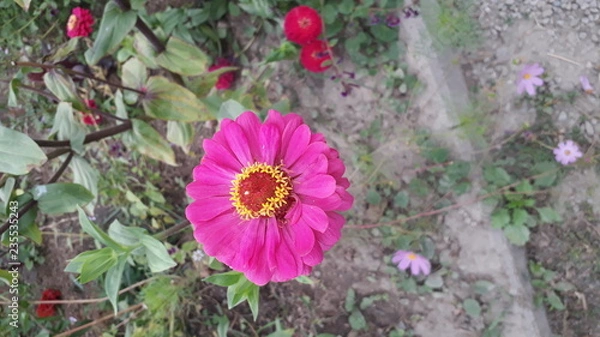 Obraz Красота Природа