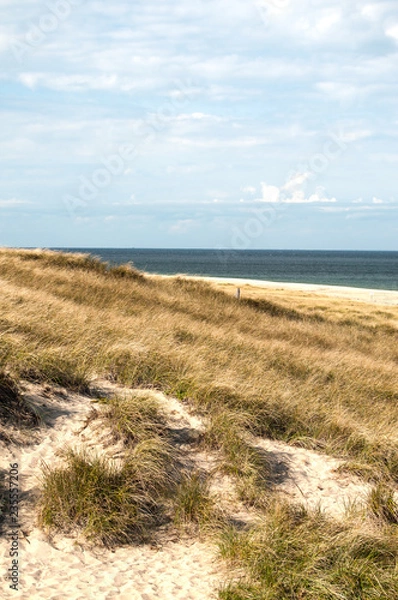 Fototapeta View from Dune