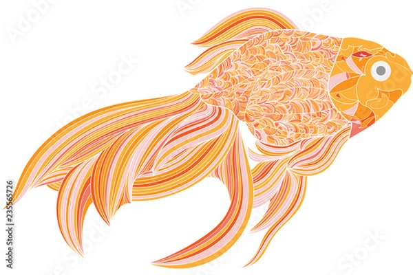 Fototapeta vector illustration of fish