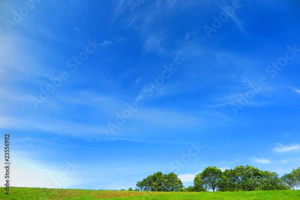Fototapeta 晴天の青空の風景10