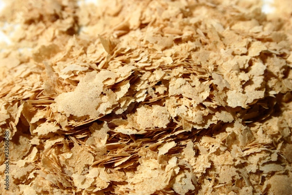 Obraz levure de bière