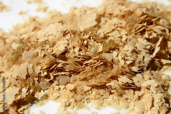 Obraz levure de bière