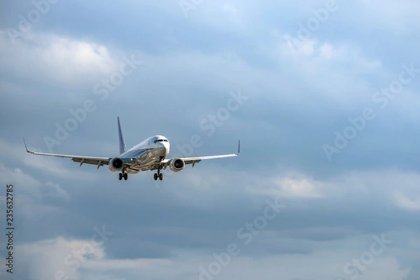 Fototapeta 滑空する旅客機