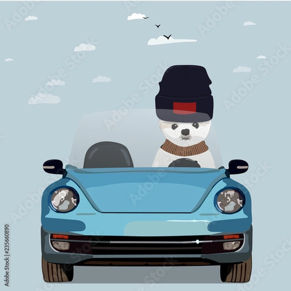 Obraz White Samoyed dog car vector illustration spitz