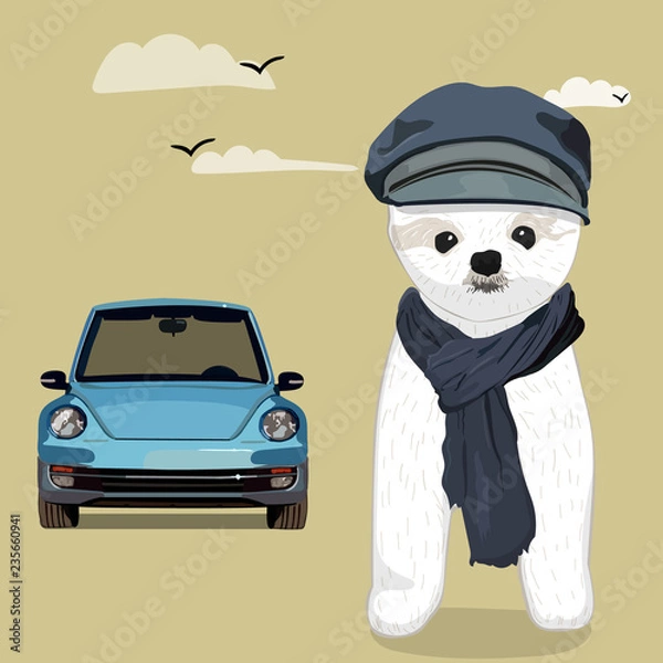 Obraz White Samoyed dog illustration car cute vector