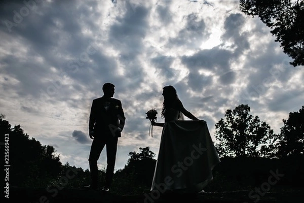Obraz silhouettes groom and bride