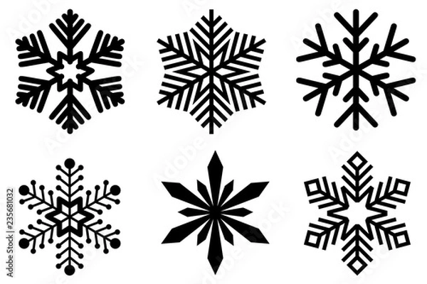 Fototapeta Set of different snowflakes isolated on white