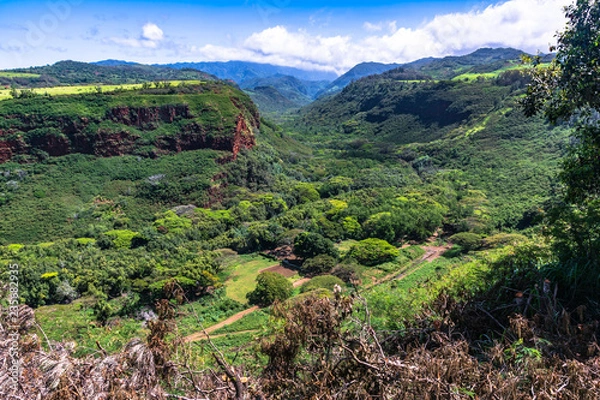 Obraz Hanapepe Valley Overlook, Kauai, Hawaii