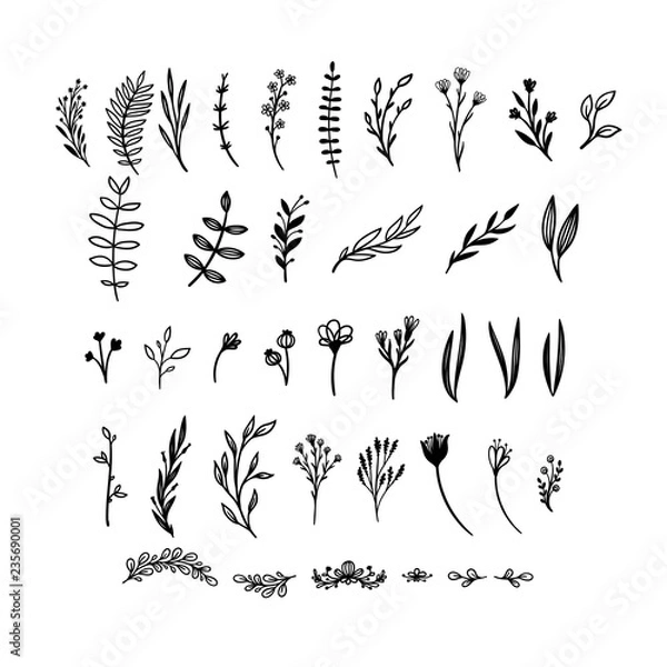 Fototapeta Hand drawn floral vector elements. Wild and free. Perfect for invitations, greeting cards, quotes, blogs, Wedding Frames, posters. Isolated