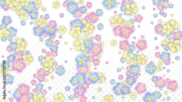 Fototapeta Vector Realistic Colorful Petals Falling on Transparent Background.  Spring Romantic Flowers Illustration. Flying Petals. Sakura Spa Design. Blossom Confetti. Design Elements for Wedding Decoration.