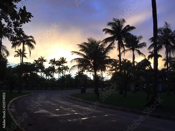 Obraz Coqueiros ao anoitecer