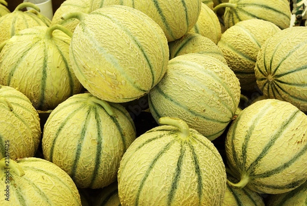 Obraz Melons
