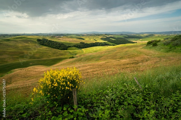 Fototapeta tuscany spring