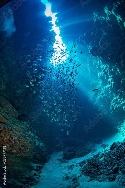 Obraz Morze czerwone Dahab