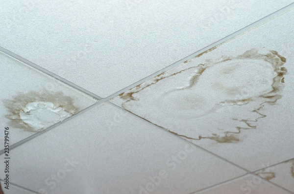 Obraz plasterboard ceiling mold damage