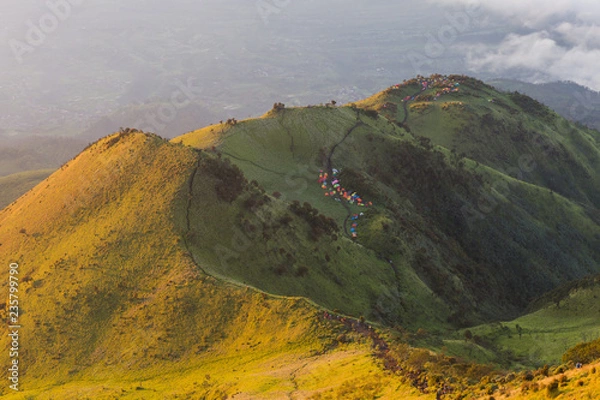 Obraz The beauty of the teletubbies hill on Mount Merbabu in the morning
