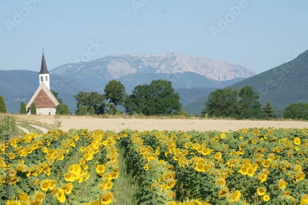 Obraz Sunflowers watch over Austrian Alps