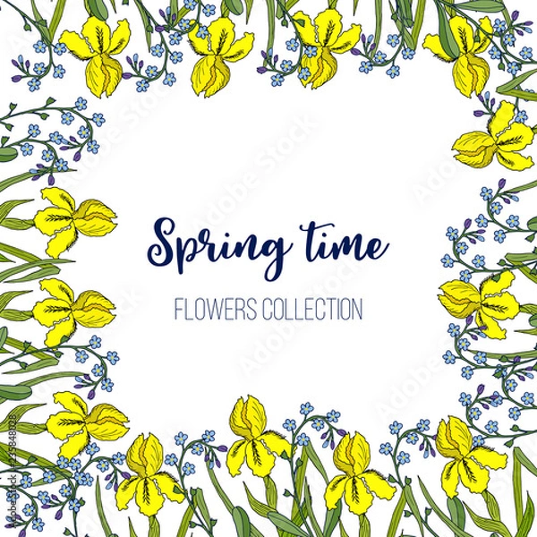 Fototapeta Spring flowers iris and forget-me-not frame
