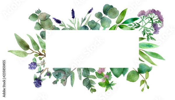 Obraz Watercolor hand painted frame with silver leaves and branches of eucalyptus dollar, green fresh bouquet of medicinal eucalyptus with medicinal plants, red clover, willow-herb, mint, lemon balm, thyme.