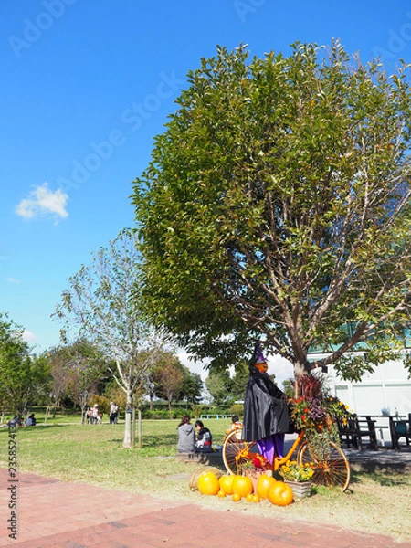 Fototapeta 秋の公園