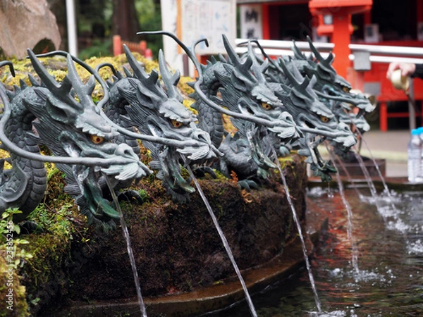 Fototapeta 龍神水