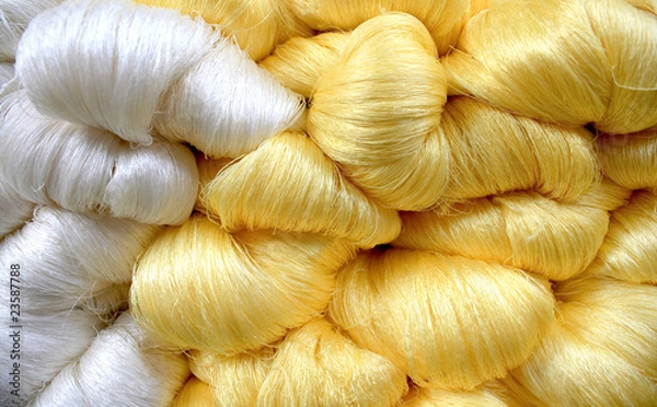 Obraz Raw silk thread