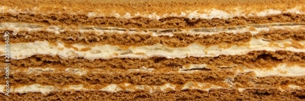 Obraz honey cake cut out