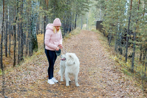 Fototapeta A pretty woman is walking her dog