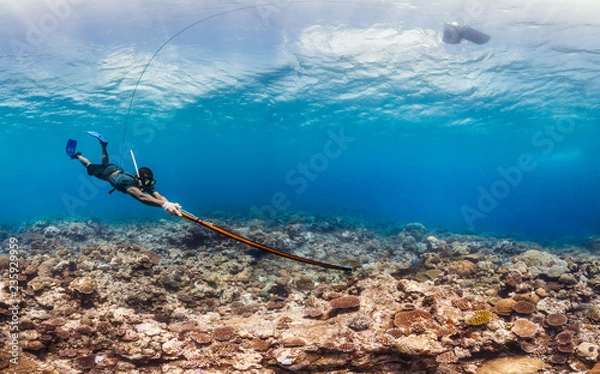 Obraz Local spearfisher