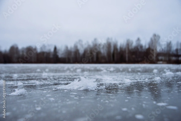 Obraz Unique natural phenomenon. Fancy ice on the surface of a frozen pond.