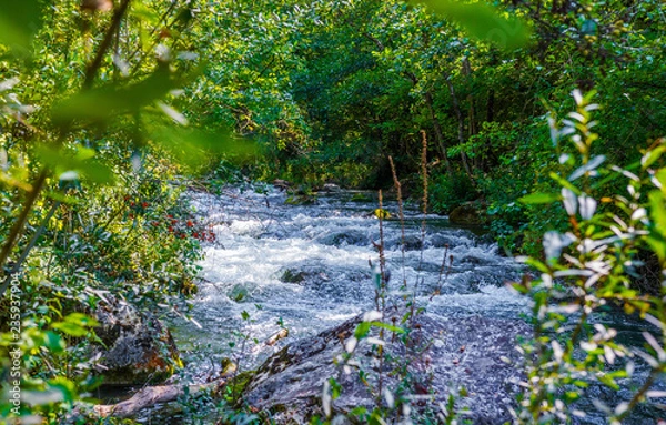Fototapeta Mountain river