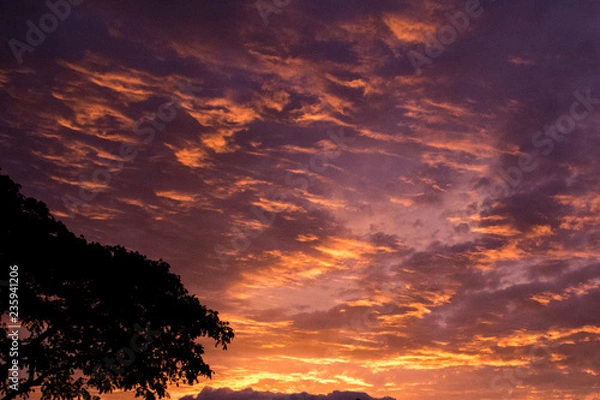 Fototapeta 夕焼け