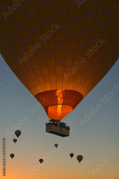 Obraz Cappadocia Balloon Rides