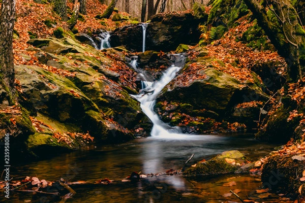 Obraz waterfall in forest