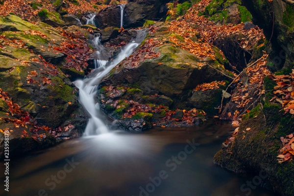 Obraz waterfall in forest